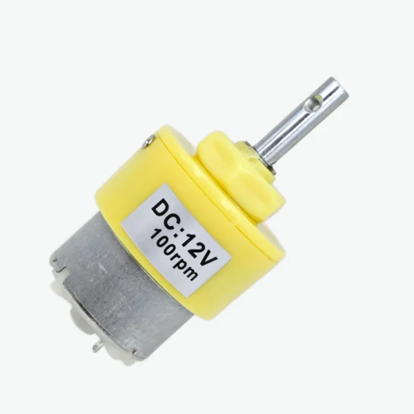 Gear motor 100 rpm